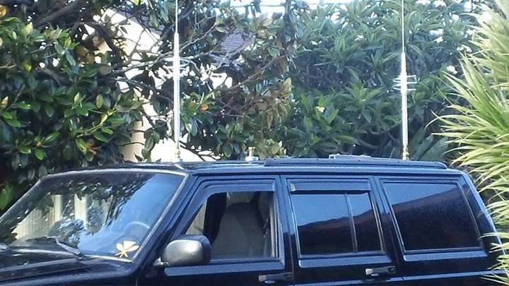 Noizybuilt bounceback 385 minigrass